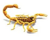 akrepler